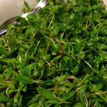 Bodega La Sorbona El Gran Felix Bebida