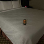 Rafaé Bodega Taberna Minuman