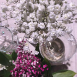 La Quinta De Jarama drink