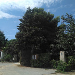 Can Marti Extérieur