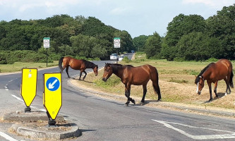 The Rising Sun Exterior