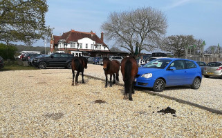 The Rising Sun Exterior