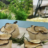 Peixateria La Llotja Bebida