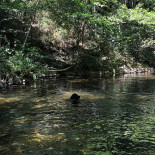 El Moli D'en Robert Exterior