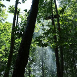 El Moli D'en Robert Exterior