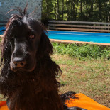 El Moli D'en Robert Exterior