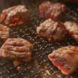 Gâteaux Cake Shop Cibo