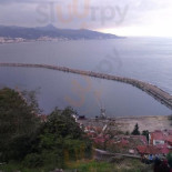 Carpaccio Banus S.L.