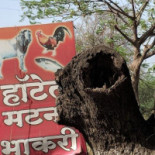 Rutas Verdes Extérieur