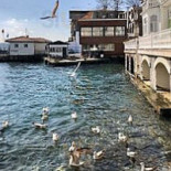 La Pubilla Extérieur