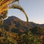 Cafe Endrino Segura De La Sierra