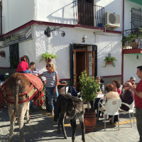 El Picota Andaluz outside