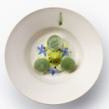 Alejandro Serrano Boisson