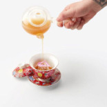 Alejandro Serrano Boisson