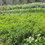 Casa Zulema Sanxenxo outside