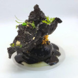 Javier Montero Bebida