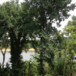 A Fuego Lento Außen