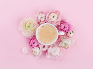 Alfajores La Quebradita