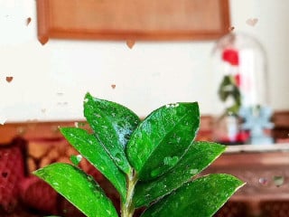 La Dársena De Suances