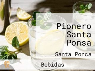 Pionero Santa Ponsa