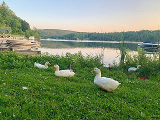 Comidas De Patty — Puerto Hondo