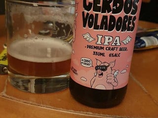 Celona Universal Lobby