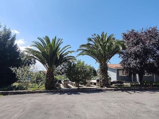 El Palacio De Bracho