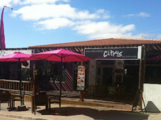 Citrus Surf Cafe
