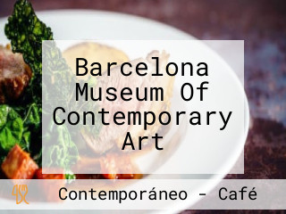 Barcelona Museum Of Contemporary Art