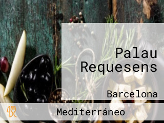 Palau Requesens