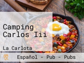 Camping Carlos Iii