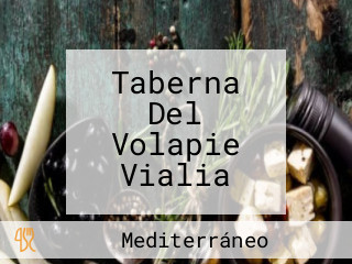 Taberna Del Volapie Vialia