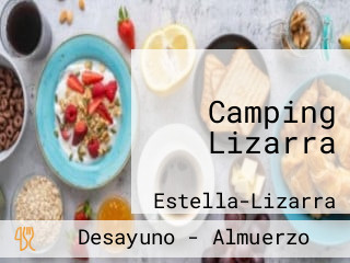 Camping Lizarra