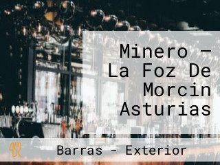 Minero — La Foz De Morcin Asturias