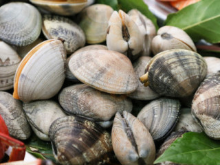 Marisquería El Cantábrico