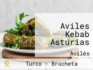 Aviles Kebab Asturias