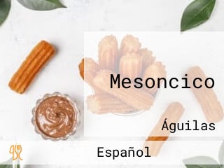 Mesoncico