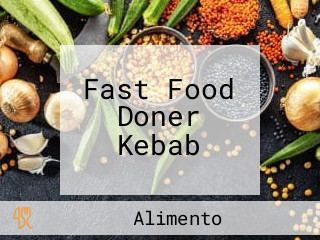 Fast Food Doner Kebab