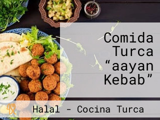 Comida Turca “aayan Kebab”