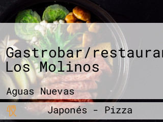 Gastrobar/restaurante Los Molinos