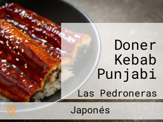 Doner Kebab Punjabi