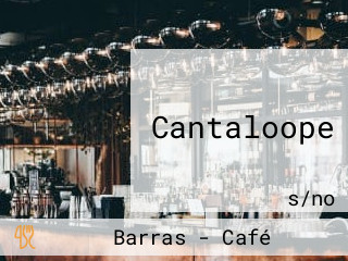Cantaloope