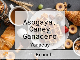 Asogaya, Caney Ganadero