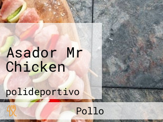 Asador Mr Chicken