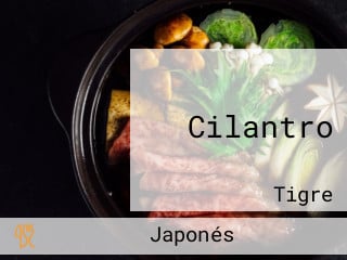 Cilantro