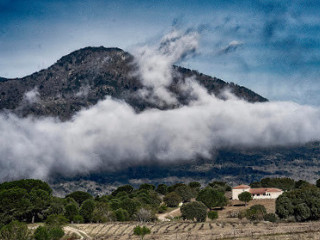 Bodega Valleyglesias