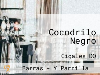 Cocodrilo Negro