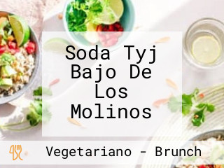 Soda Tyj Bajo De Los Molinos