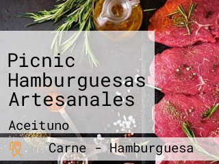 Picnic Hamburguesas Artesanales