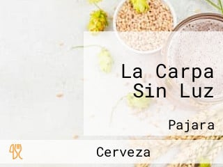 La Carpa Sin Luz